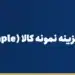 نحوه پرداخت هزینه نمونه کالا (Sample) به تامین‌کننده با علی‌پی